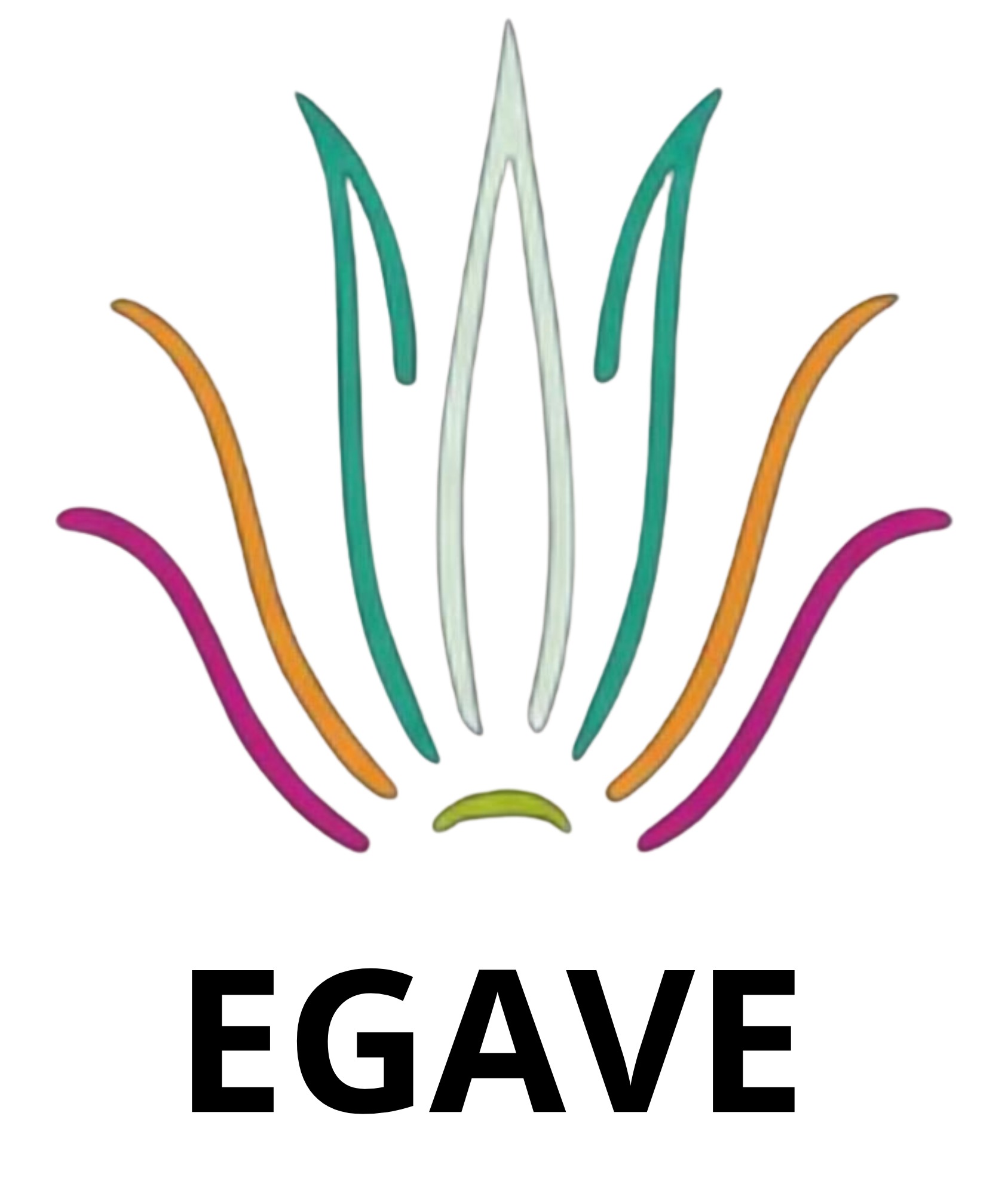 EGAVE